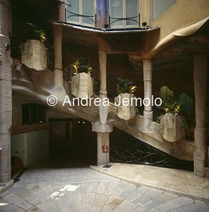 Casa Batllò Interni | Andrea Jemolo