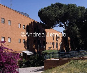 Complesso residenziale La Casa intorno agli alberi Cortile Interno | Andrea Jemolo