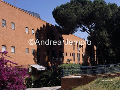 Residential complex La Casa intorno agli alberi Interior courtyard | Andrea Jemolo