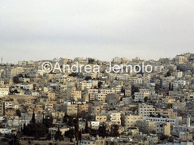 View of the city  | Andrea Jemolo