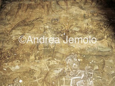 Qasr Amra Frescos | Andrea Jemolo