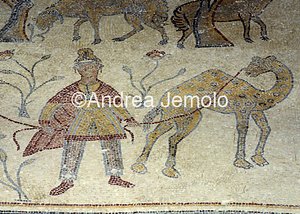 Mosaici  | Andrea Jemolo
