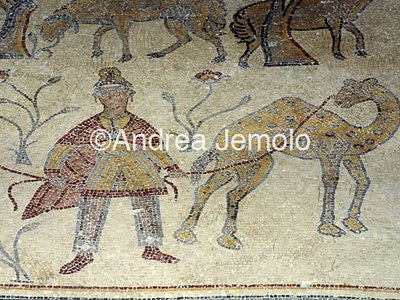 Mosaics  | Andrea Jemolo