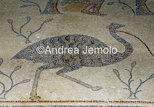 Mosaici  | Andrea Jemolo