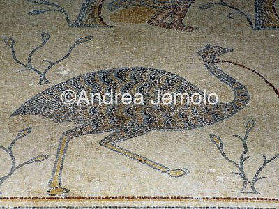 Mosaics  | Andrea Jemolo