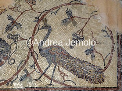 Mosaics  | Andrea Jemolo