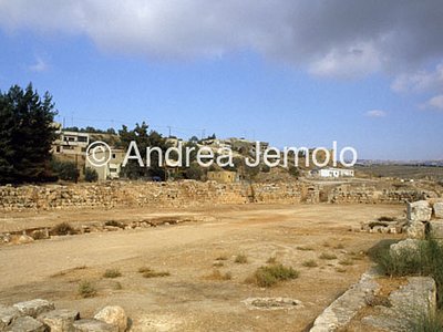 Ippodromo  | Andrea Jemolo