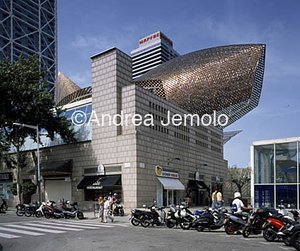 Peix Fish  | Andrea Jemolo