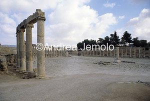 Foro Veduta d'insieme | Andrea Jemolo