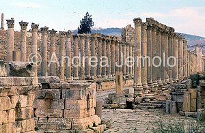 Cardo maximus Veduta d'insieme | Andrea Jemolo