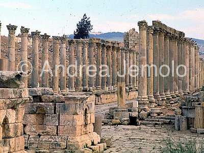 Cardo maximus Veduta d'insieme | Andrea Jemolo