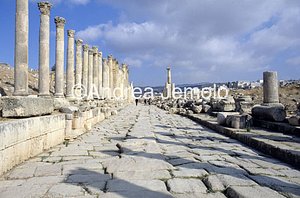 Cardo maximus Veduta d'insieme | Andrea Jemolo