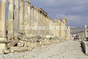 Cardo maximus Veduta d'insieme | Andrea Jemolo