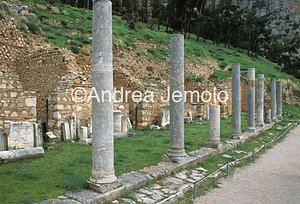 Agorà romana  | Andrea Jemolo