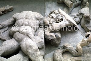 Pergamonmuseum Altar of Pergamon - Dioscuro | Andrea Jemolo