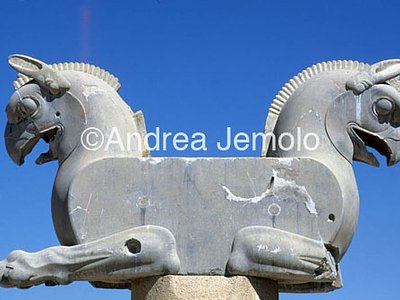 Capitello con protome di grifone Visione d'insieme | Andrea Jemolo