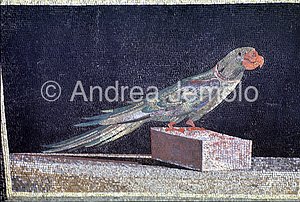 Pergamonmuseum Mosaic of the palace of Attalus king of Pergamon | Andrea Jemolo