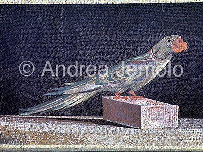 Pergamonmuseum Mosaic of the palace of Attalus king of Pergamon | Andrea Jemolo