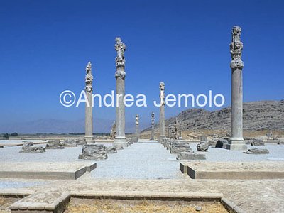 Apadana - Sala delle udienze Visione d'insieme | Andrea Jemolo