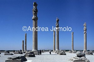 Apadana - Sala delle udienze Visione d'insieme | Andrea Jemolo