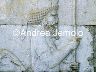 Apadana - Sala delle udienze - scala di accesso Guerrieri medi e persiani | Andrea Jemolo