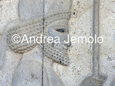 Apadana - Sala delle udienze - scala di accesso Guerrieri medi e persiani | Andrea Jemolo