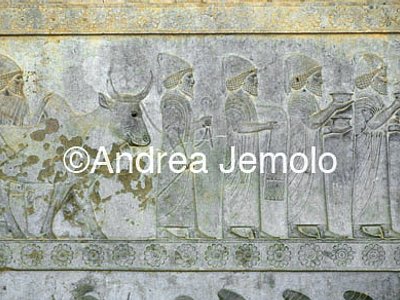 Apadana - Sala delle udienze - scala di accesso Babilonesi | Andrea Jemolo