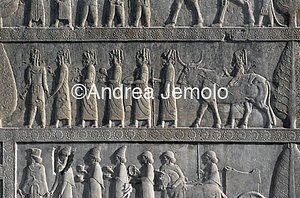 Apadana - Sala delle udienze - scala settentrionale Babilonesi | Andrea Jemolo