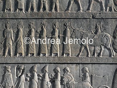 Apadana - Sala delle udienze - scala settentrionale Babilonesi | Andrea Jemolo