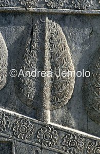 Apadana - Sala delle udienze - scala settentrionale Albero | Andrea Jemolo