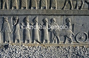 Apadana - Sala delle udienze - scala settentrionale Assiri | Andrea Jemolo