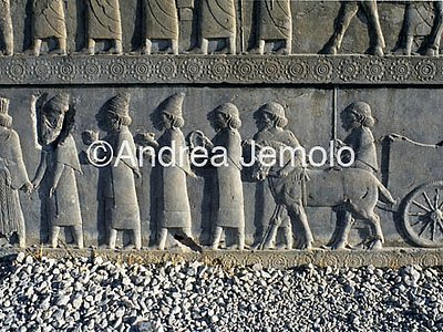Apadana - Sala delle udienze - scala settentrionale Assiri | Andrea Jemolo