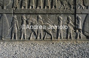 Apadana - Sala delle udienze - scala settentrionale Cappadoci | Andrea Jemolo