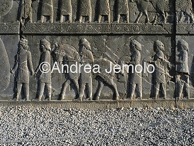 Apadana - Sala delle udienze - scala settentrionale Cappadoci | Andrea Jemolo