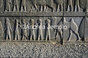 Apadana - Sala delle udienze - scala settentrionale Aracosii | Andrea Jemolo