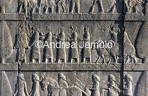 Apadana - Sala delle udienze - scala settentrionale Cilici | Andrea Jemolo