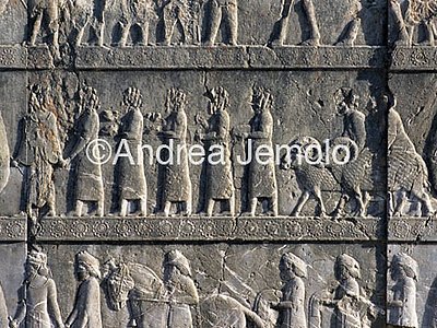 Apadana - Sala delle udienze - scala settentrionale Cilici | Andrea Jemolo