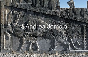 Apadana - Sala delle udienze - scala settentrionale Leone che azzanna un toro | Andrea Jemolo