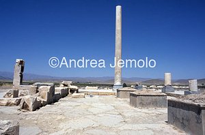 Apadana - Sala delle udienze Visione d'insieme | Andrea Jemolo