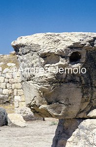 Protome di toro  | Andrea Jemolo