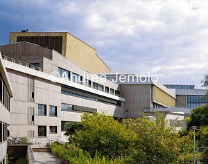 Staadtbibliothek  | Andrea Jemolo