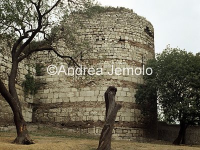Teodosian walls  | Andrea Jemolo
