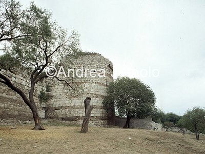 Teodosian walls  | Andrea Jemolo