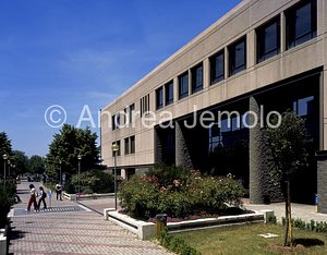 Facoltà di Economia dell'Università di Roma Tor Vergata Ingresso | Andrea Jemolo