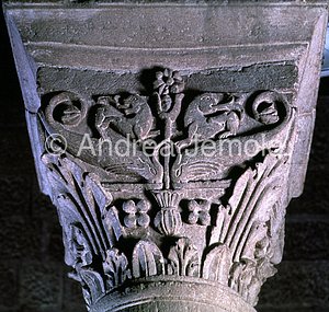 St. Maria Nuova Capital with dolphins | Andrea Jemolo