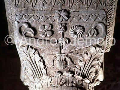 Cattedrale - San Lorenzo Capitello con delfini | Andrea Jemolo