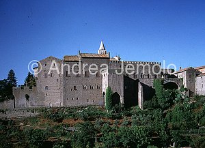 Papal palace North side | Andrea Jemolo