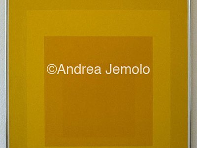 Josef Albers | Andrea Jemolo