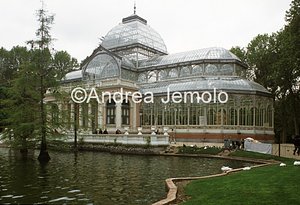 Parque of the Retiro Palacio de Cristal | Andrea Jemolo