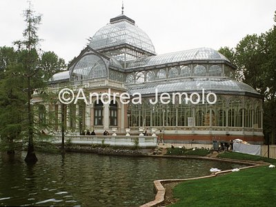 Parque of the Retiro Palacio de Cristal | Andrea Jemolo